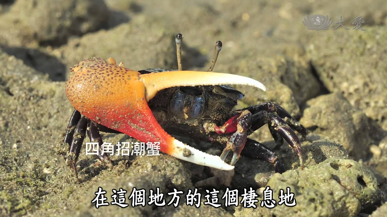 【發現】20141101 - 屏東滿州風情