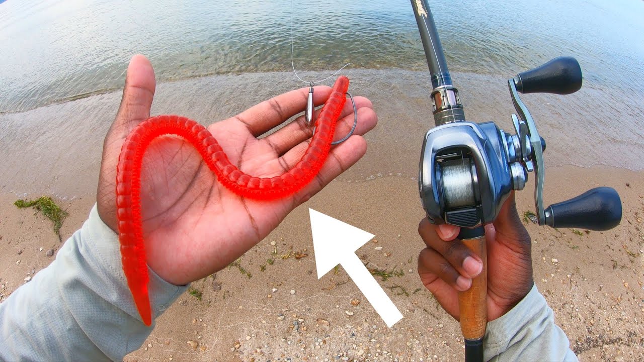 You NEED To Try This CRAZY Japanese Worm This Summer!
