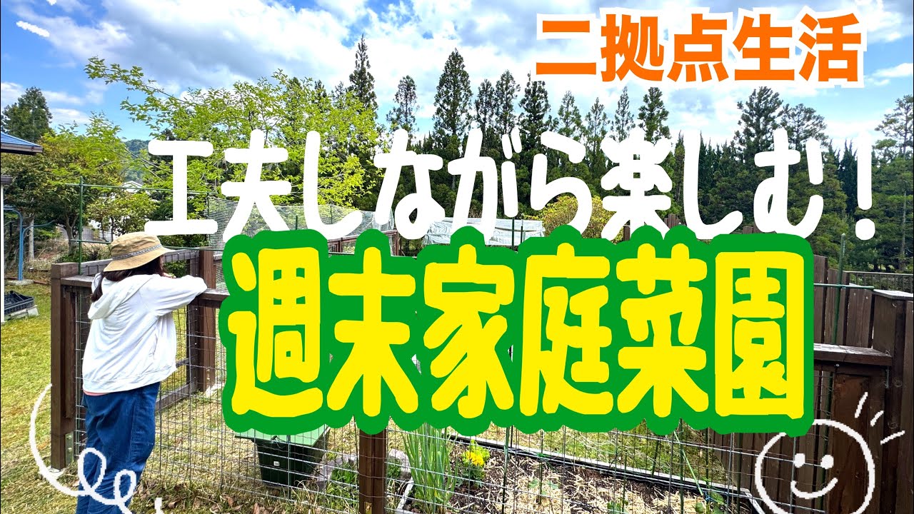 [二拠点生活]さっそく収穫第一号！今年も小さな家庭菜園始めるよー！