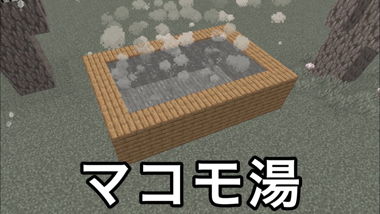 【マイクラ】何故かソレにしか見えなくなるもの選手権で珍回答続出.. 〜一度言われると絶対に見間違える要素10選〜　【マインクラフト】【まいくら】【コマンド】【統合版】【雑学】【豆知識】