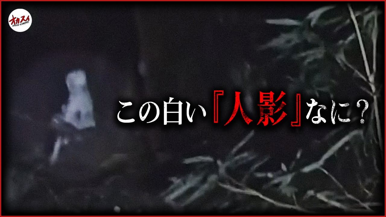 【心霊】これ霊？何？…「あんなとこに人がいるわけがない」─宮崎心霊スペシャル─