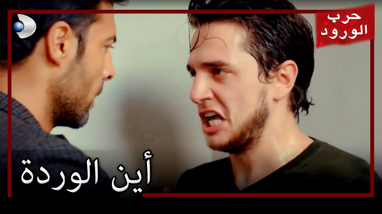 الجميع يبحث عن ابتسامة  حرب الورود الجزء 40