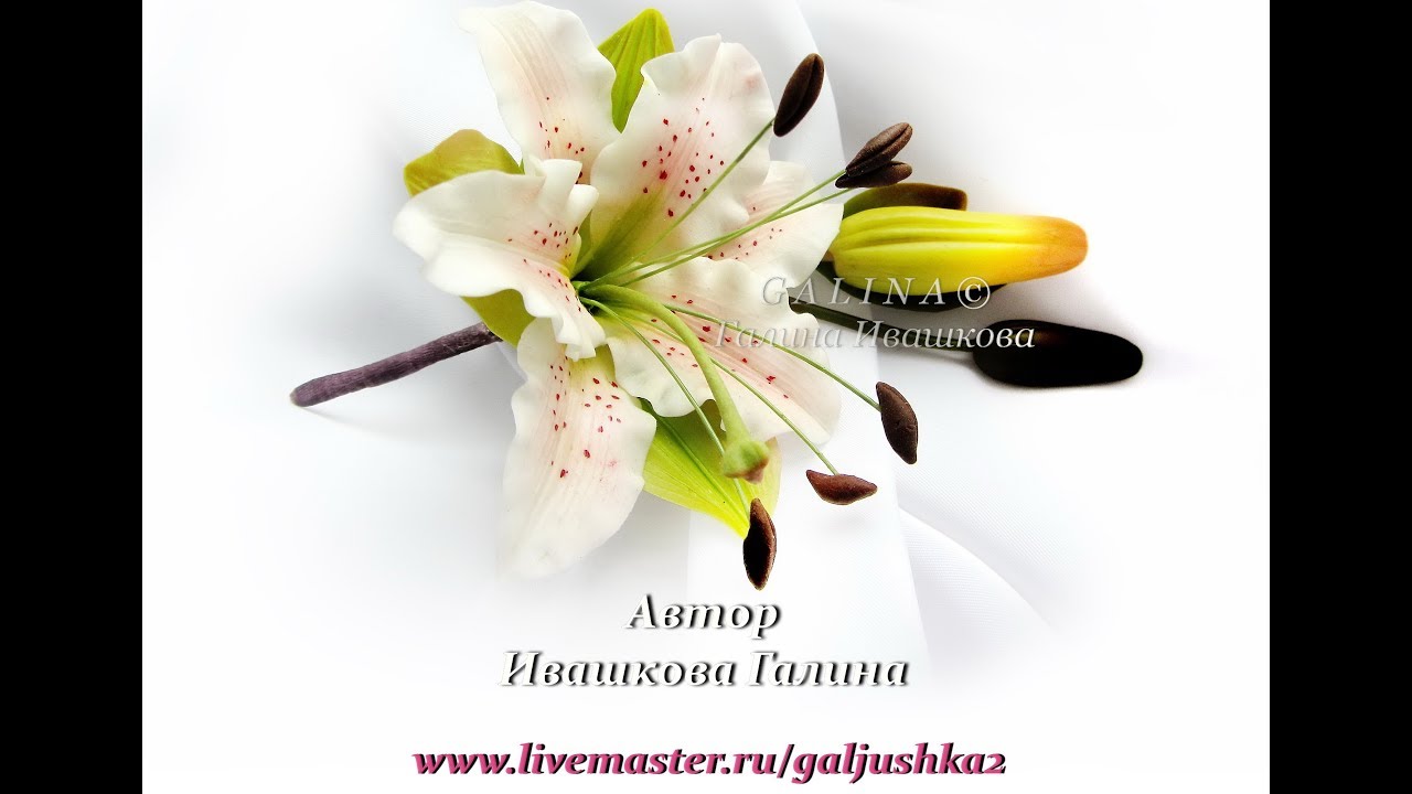 #Галина_Ивашкова. МК ЛИЛИЯ из Х.Ф - полный. Ивашковой Галины.