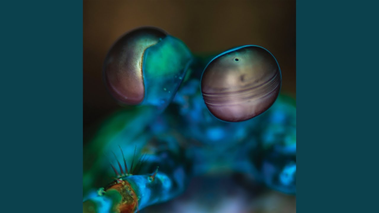 O.G. Dreams of Lost Love