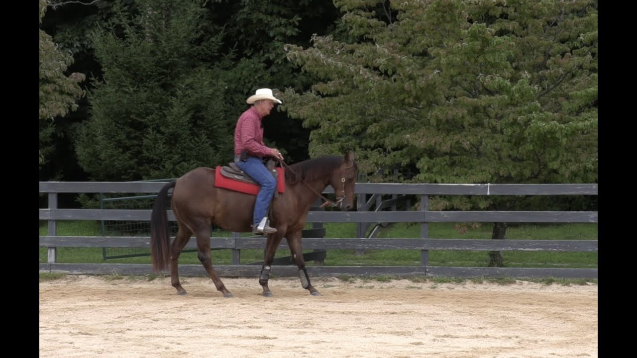 Advancing the Rollback (Episode 120) - Herm Gailey: A Lifetime with Horses