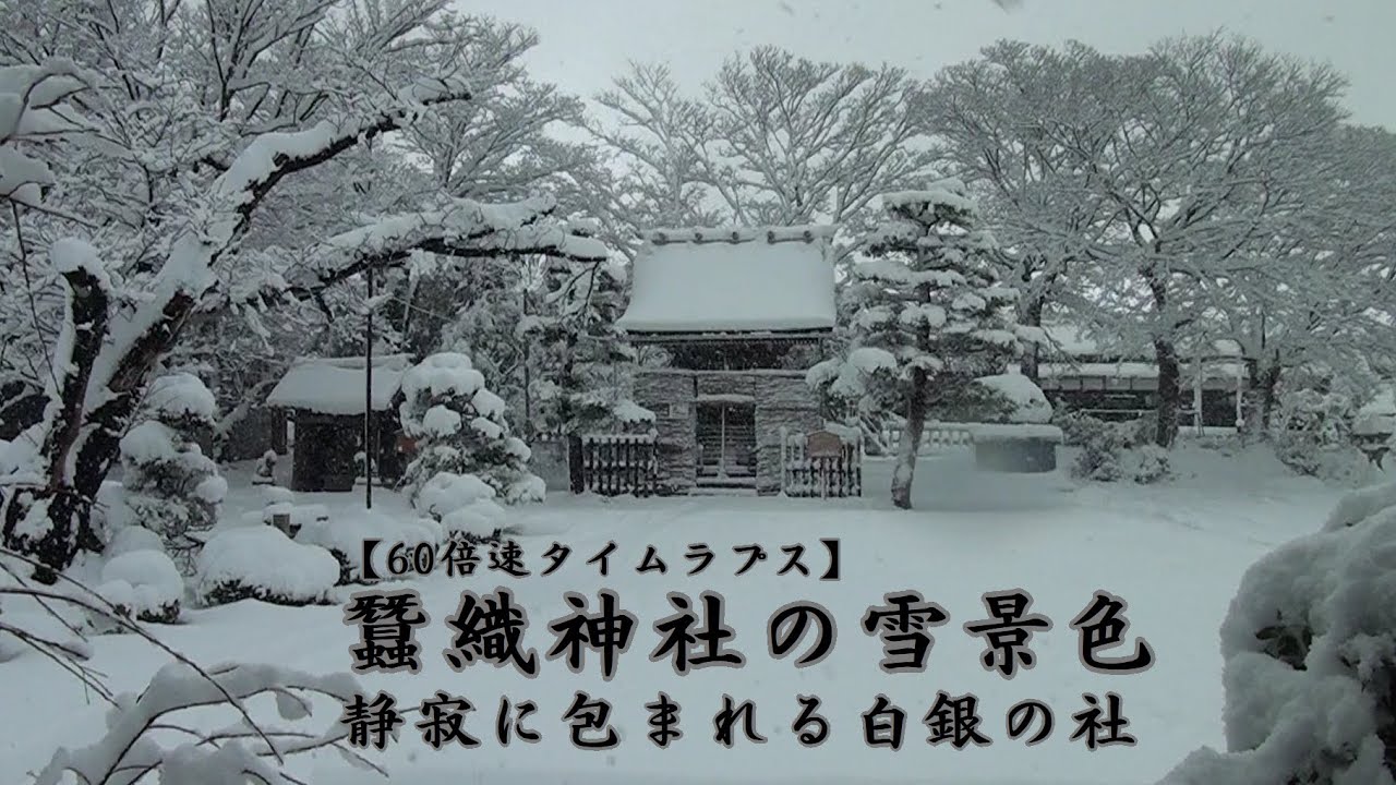 蠶織神社の雪景色｜静寂に包まれる白銀の社   [60倍速タイムラプス!] 令和8年1月
