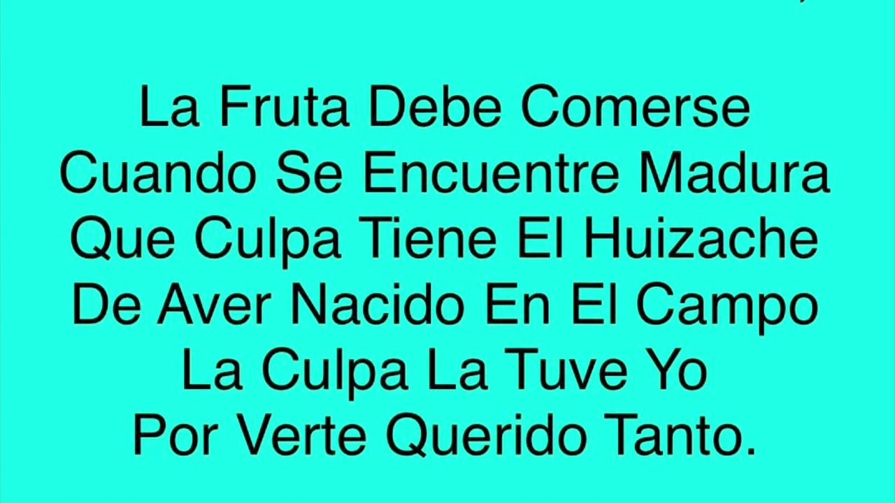 Karaoke El Huizache