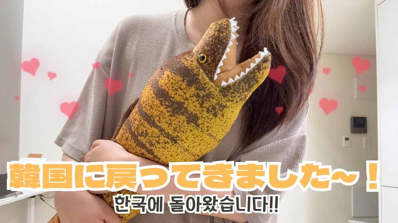 【日韓夫婦】ちょびっとだけ地元を紹介する日本ブイログ/조금만 고향을 소개하는 일본 브이로그【お絵描きブイログ】