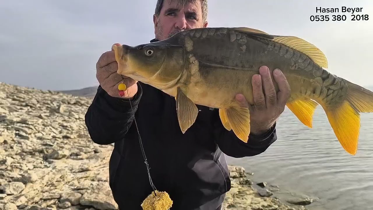 Kayalık merada sazan sınavımız .Ben Kerem ve Yusuf Şeker kardeşim le güzel bir kamp yaptık.