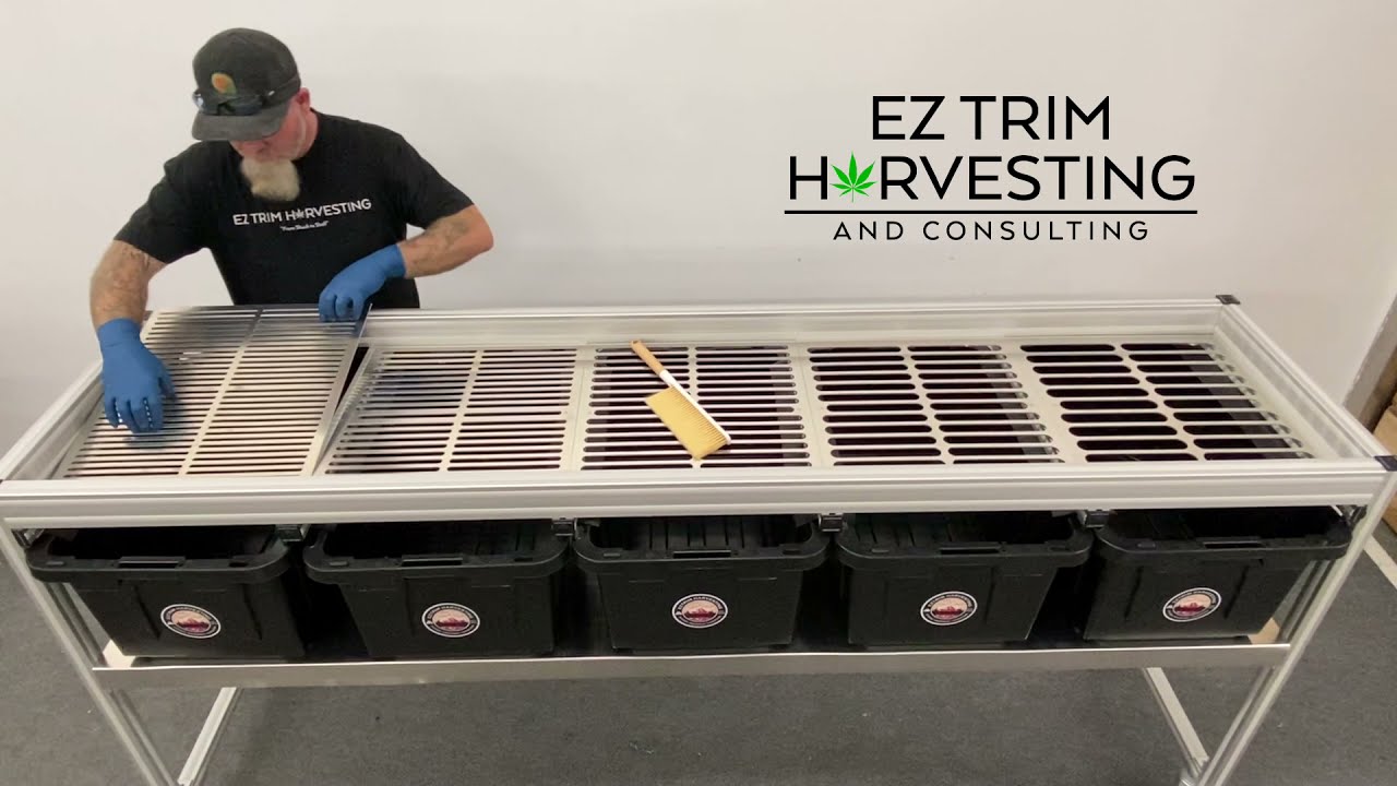Bud Sorting Machine | Ez Trim