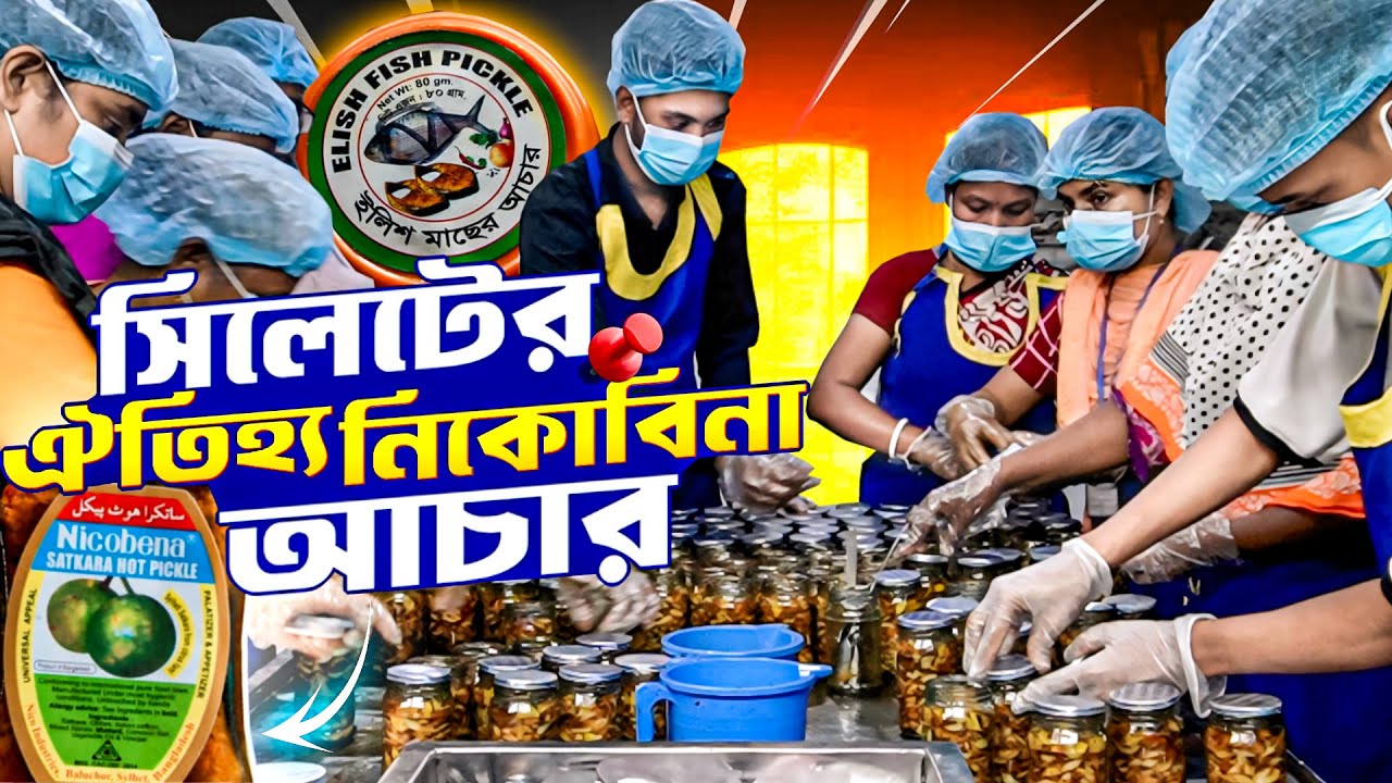 সিলেটের নিকোবিনা আচার কিভাবে তৈরী করা হয় | Info Hunter