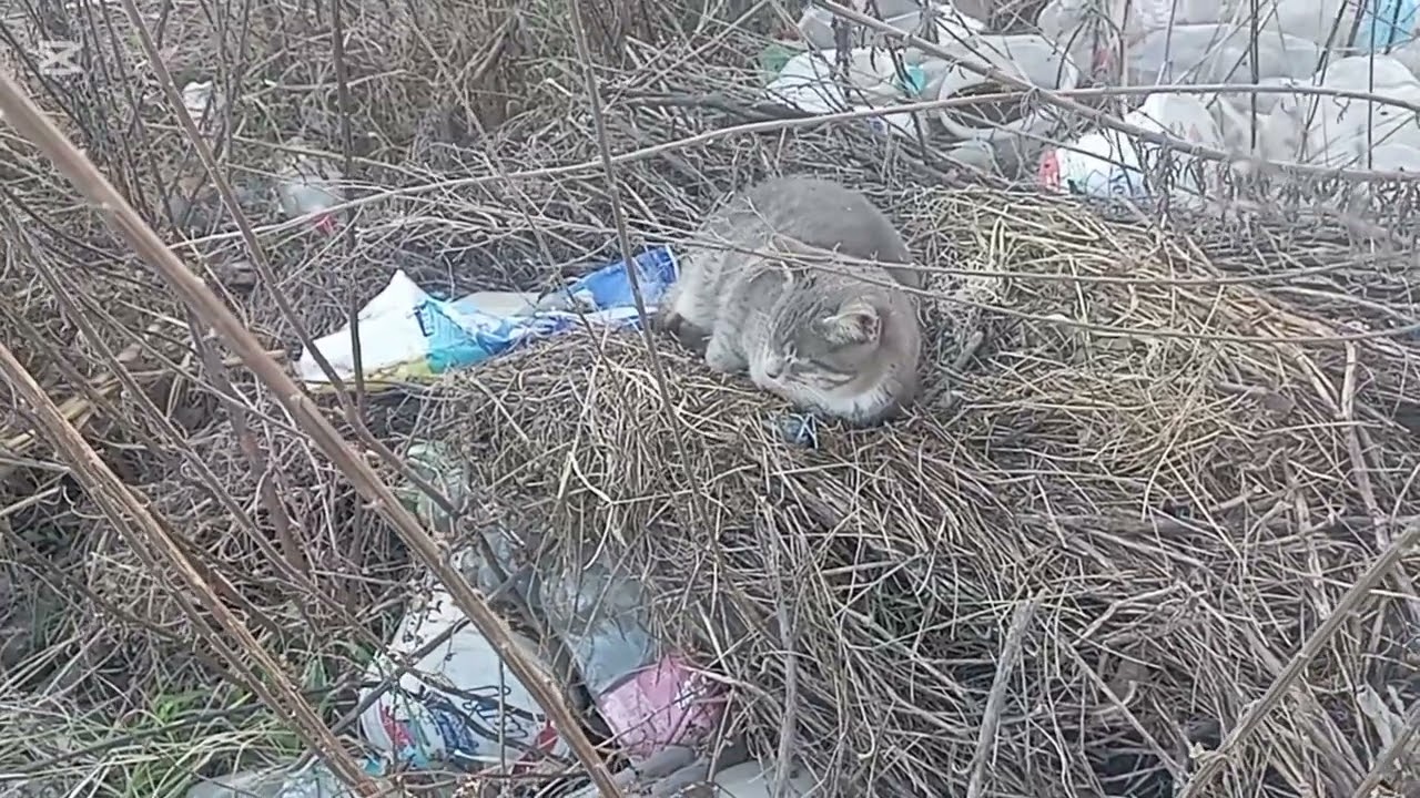 28 OCAK 2026 BU GÜN NİHAYET HOBİ BAHÇESİNDEYİZ TOPRAKLA BULUŞTUK ŞÜKÜRLER OLSUN 