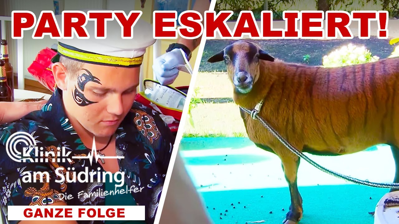 Eltern kommen heim: Party, Polizei & ein bemaltes SCHAF! | Die Familienhelfer