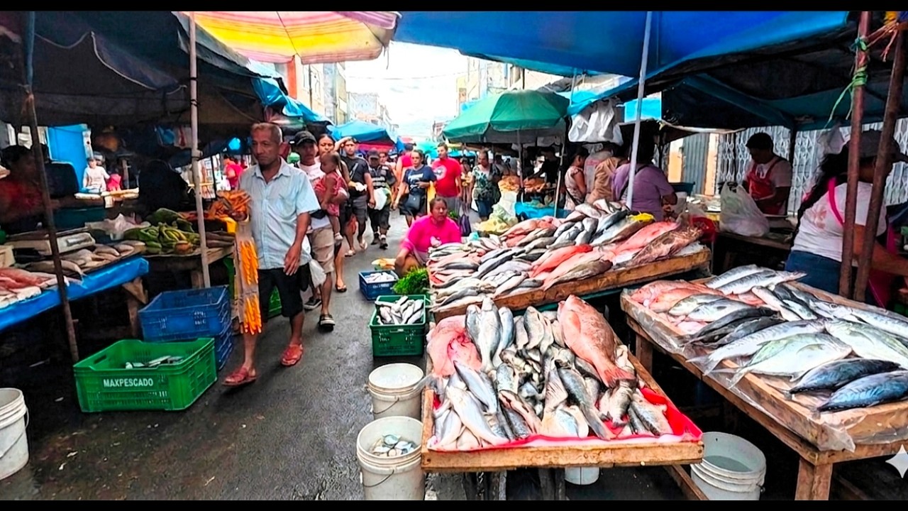 IMPRESIONANTE  mercado  BELÉN  iquitos  Perú 🇵🇪