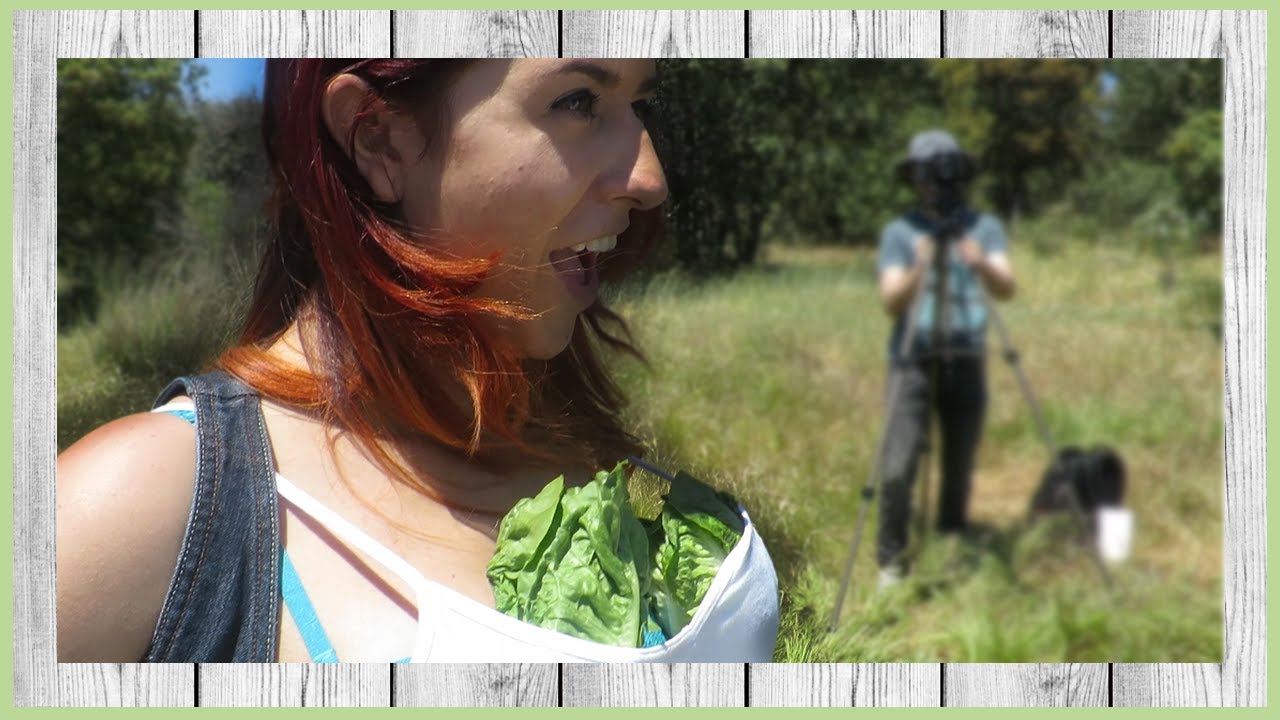 Un día en el campo