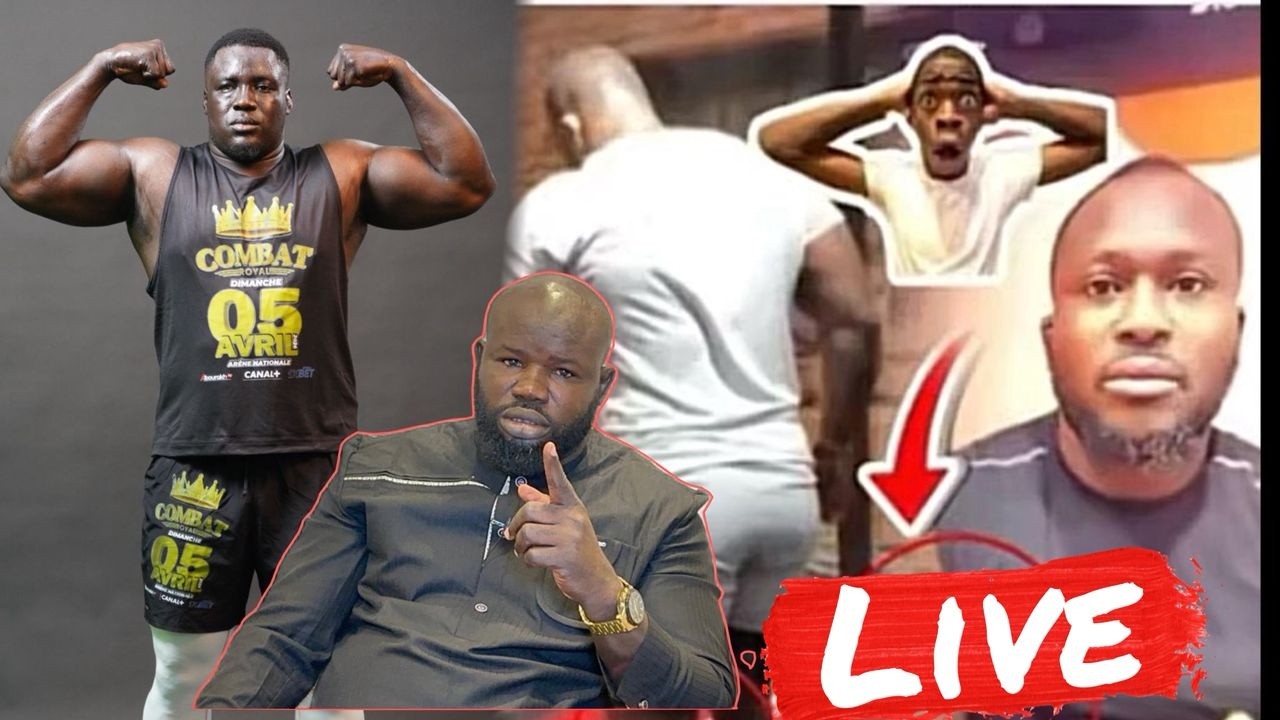 Live fadam🔴hey combat royal l etat de forme des deux lutteurs , les revelations choquantes de faam2