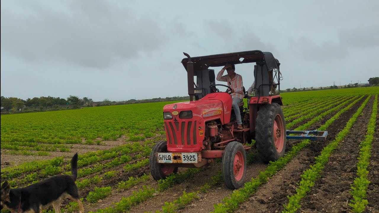 “Dekho Hamara Tractor Khet Me Kaise Chalta Hai! 😍” Indian village life