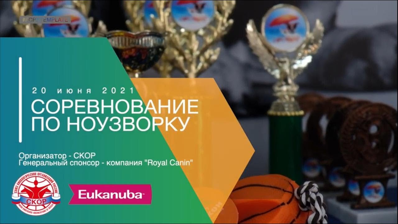 СОРЕВНОВАНИЕ ПО НОУЗВОРКУ