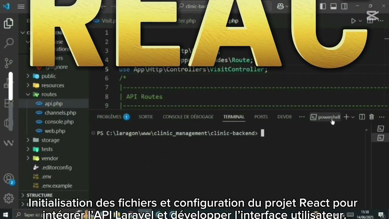 Api