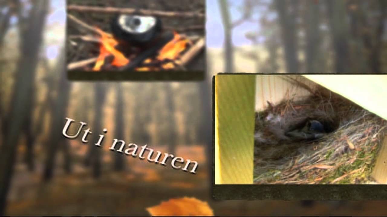 Ut INaturen baer Program_YouTube_h264_720p