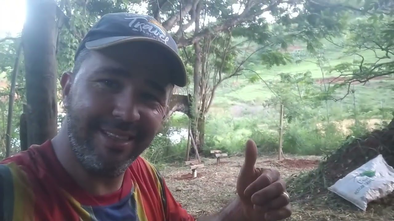 🐝 O que você presiza fazer para mudar seu apiário de lugar com a distância de 150 metros 