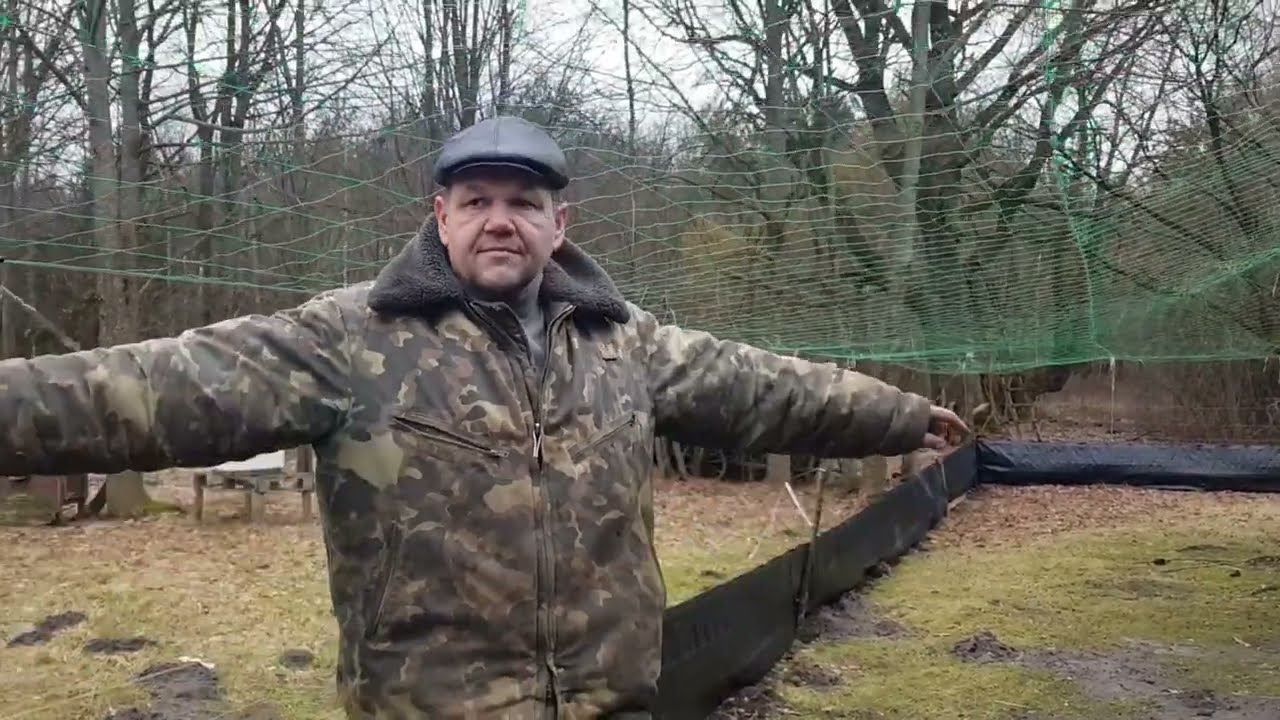 УЖЕ 1.5 ГОДА КРОЛИКИ ЖИВУТ В ЛЕСУ