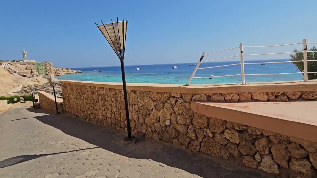 Reef Oasis Beach Resort сентябрь 2023, день на ПЛЯЖЕ