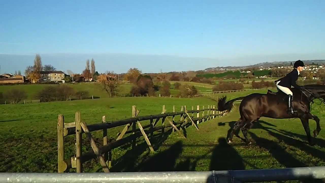 Cheshire drag hunt 30 November 2013