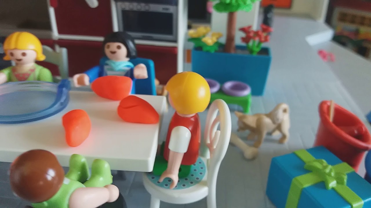 L'anniversaire de lily🎂🎊🎉-Playmobil
