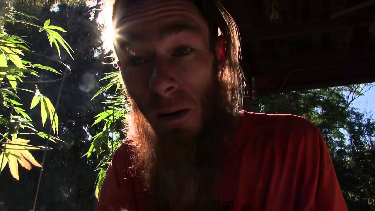 tokin daily: melting the day away