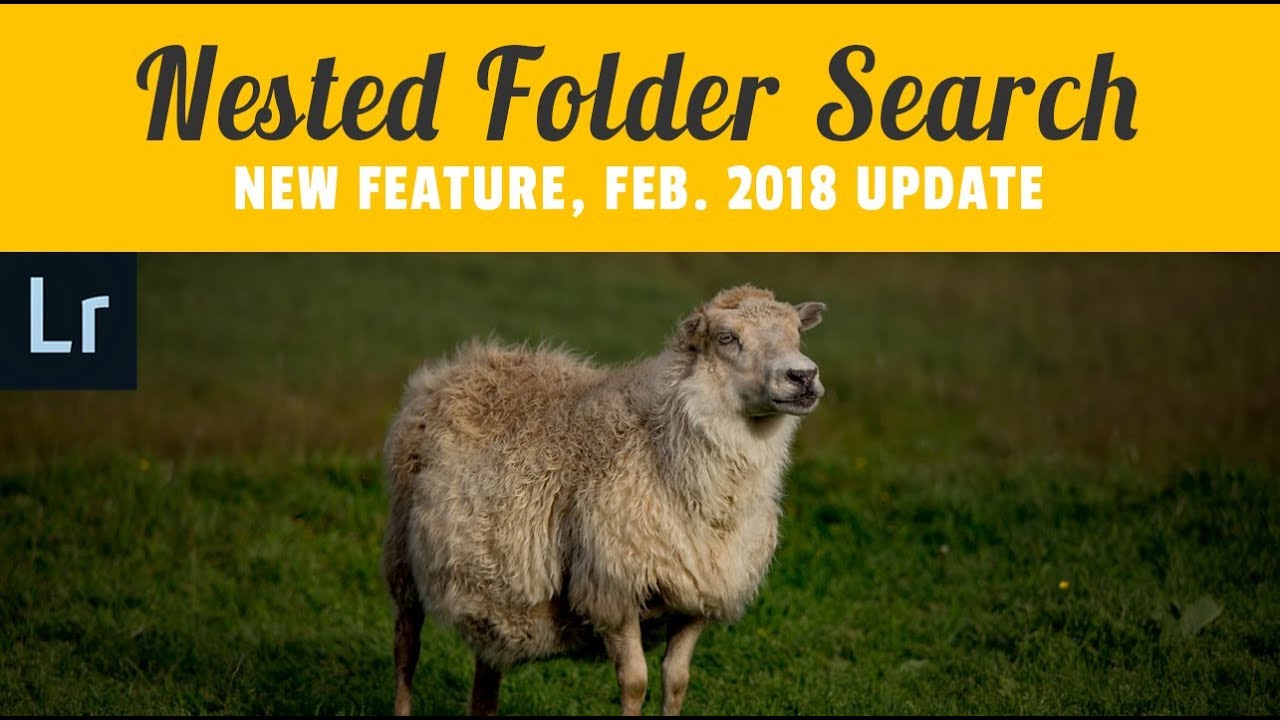 New Nested Folder Search | Lightroom Classic CC