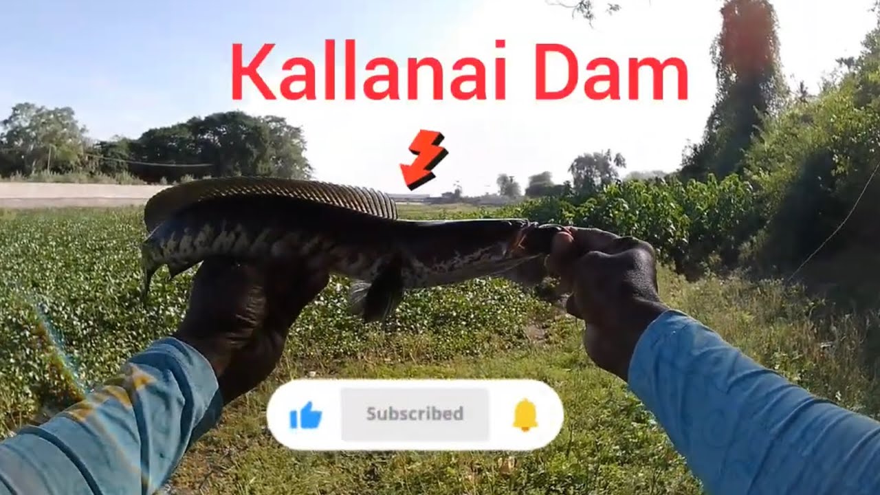 Fishing near Kallanai Dam and few more spots