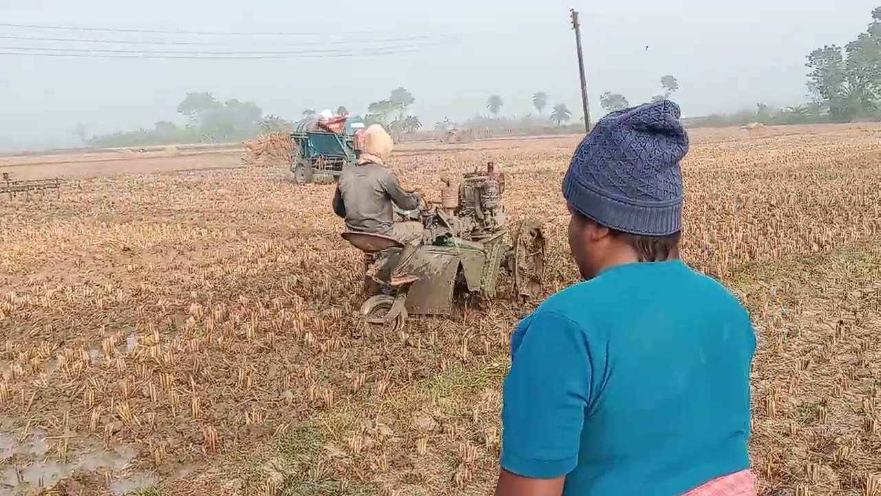 Ploughing For Paddy Seed Grow