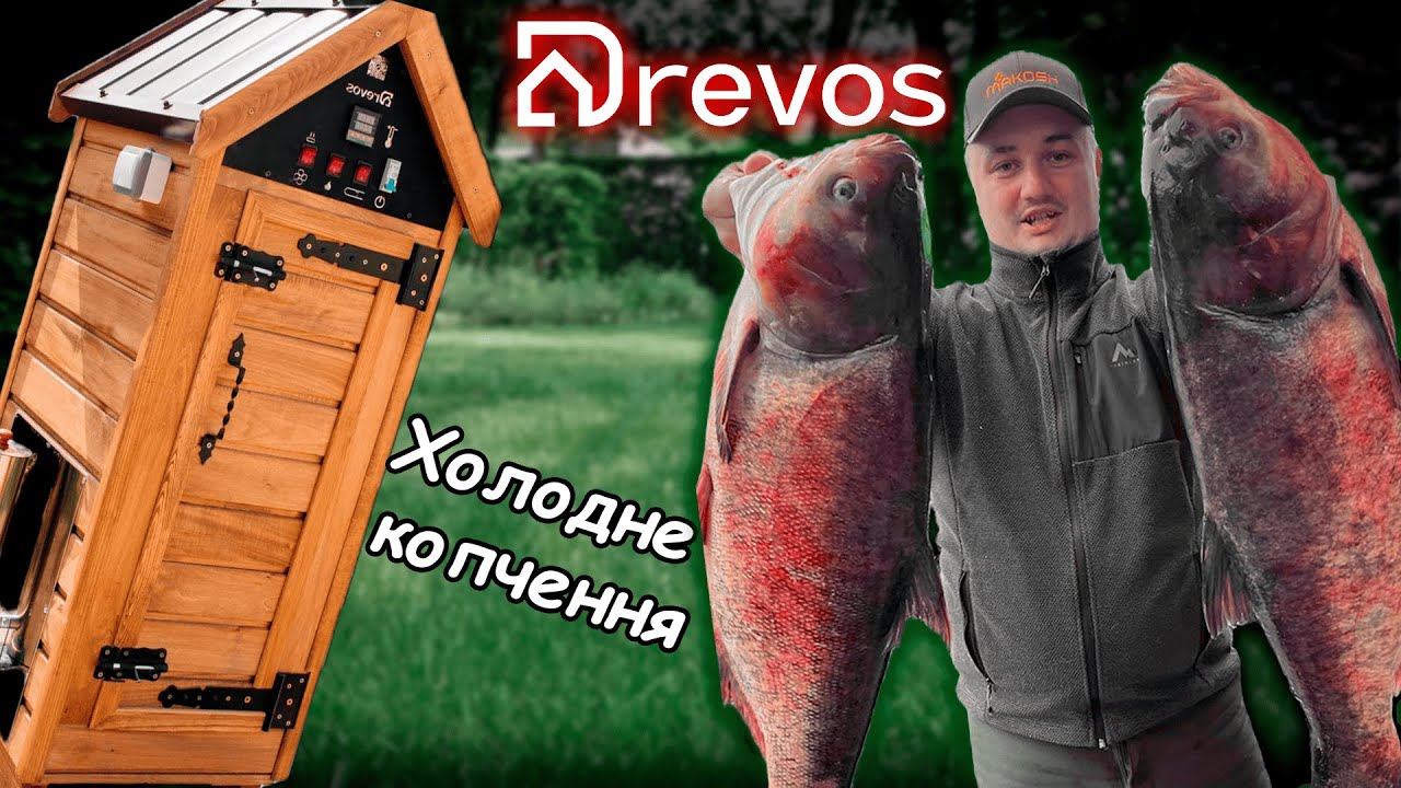 НЕ КУПЛЯЮ В МАГАЗИНІ❗️ЗАКОПТИЛИ ТОВСТОЛОБА 10 КГ👍 Холодне Копчення  Товстолоба❗Коптильня Drevos