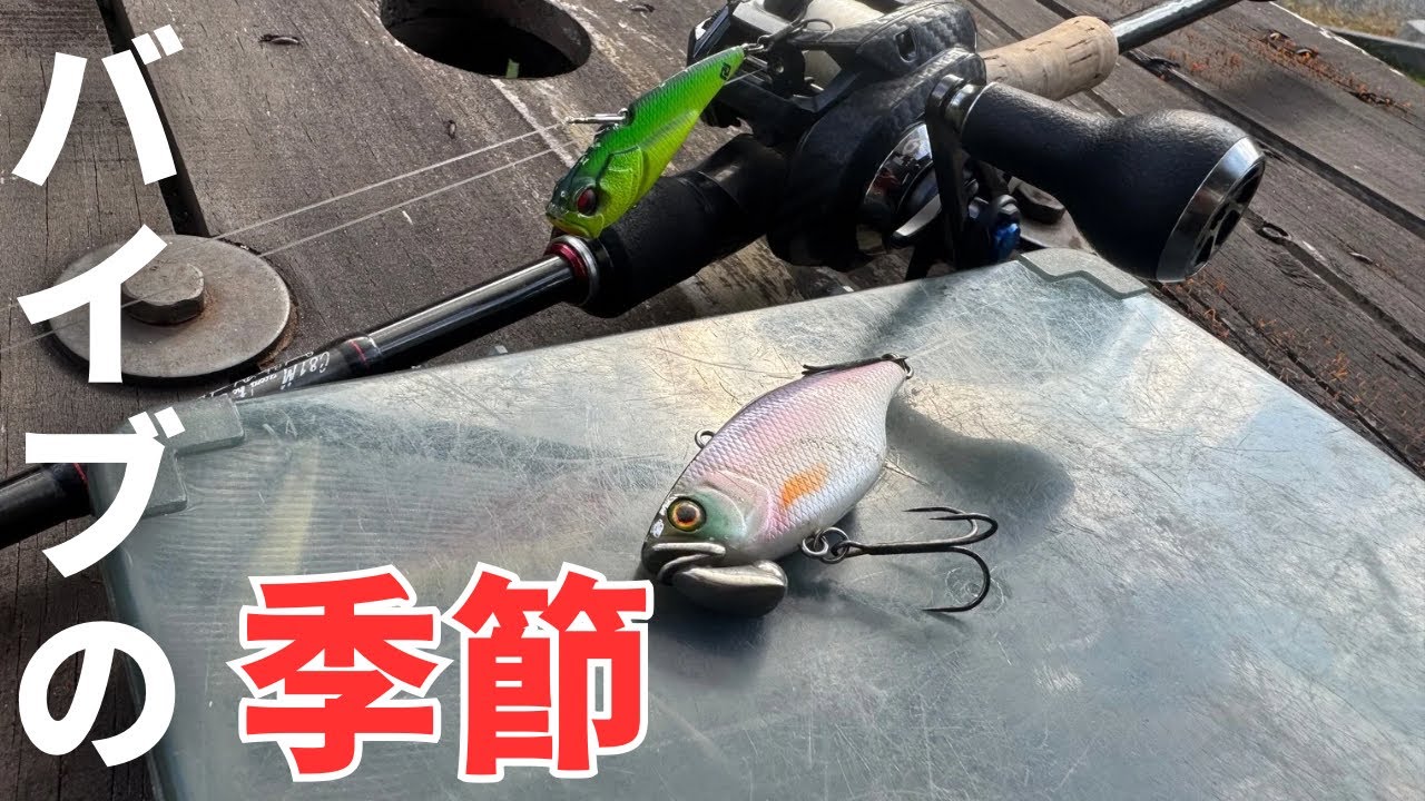 【冬のバス釣り】バイブレーションの遠投が釣れる/広範囲を効率よく釣れる、最強ルアーの釣れる使い方を解説しながら実釣します。【メタルバイブ】【スコーンリグ】【冬に強いルアー】