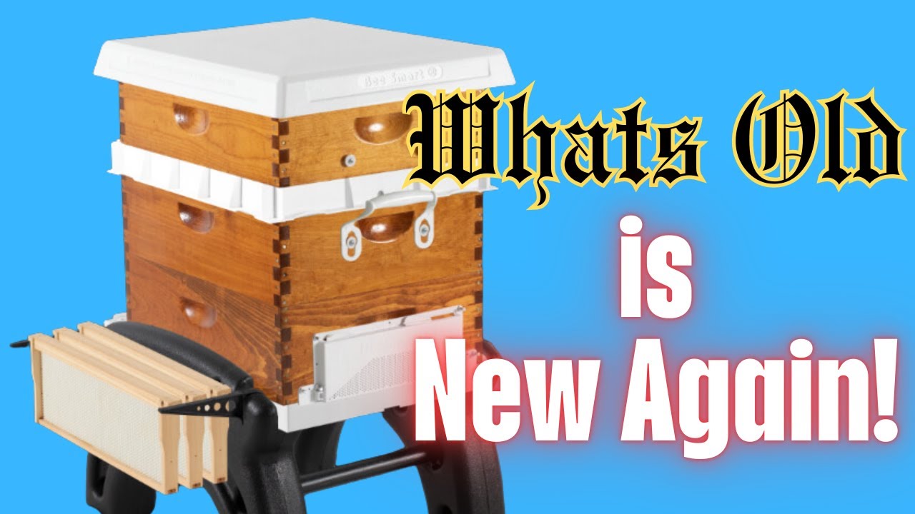 4 New Beekeeping Inventions that will make your beehive THRIVE