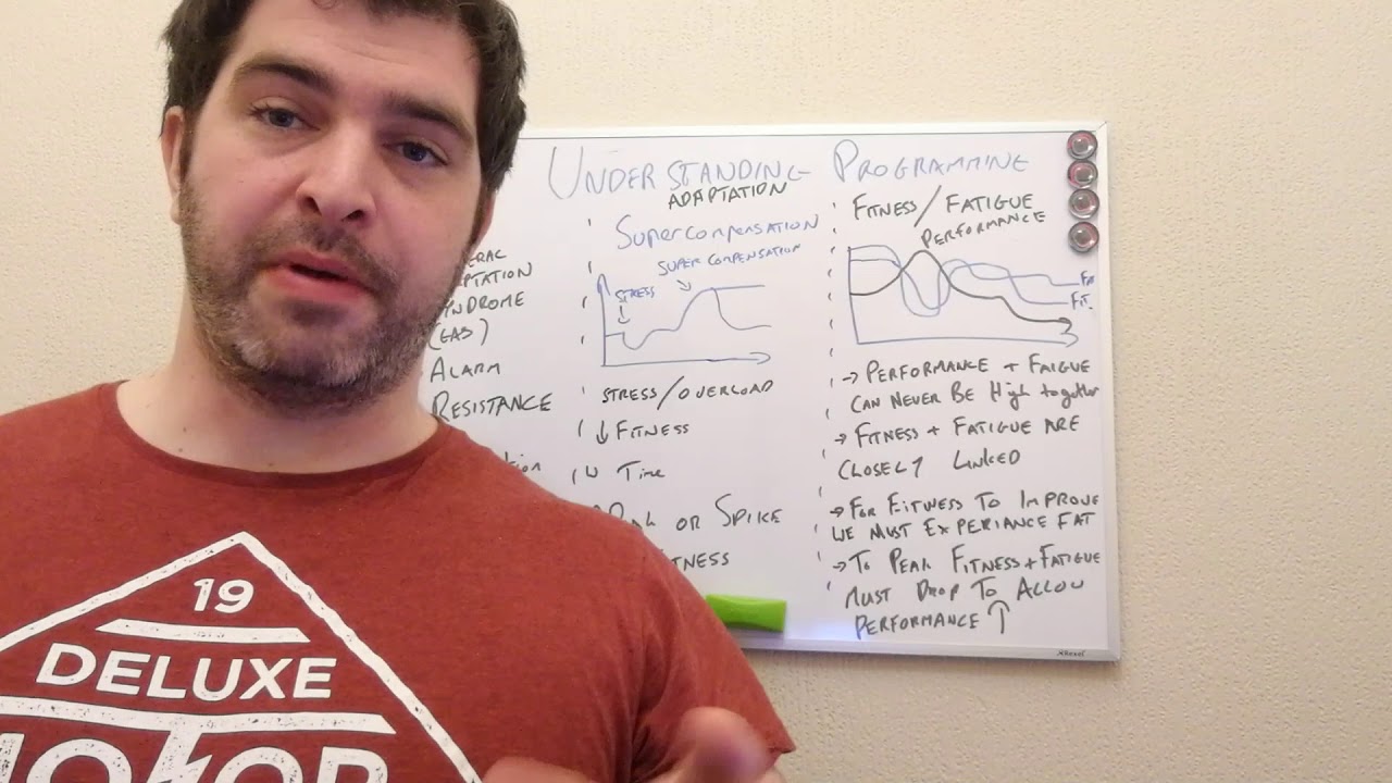 Understanding Programming  - 102 -  Adaptation