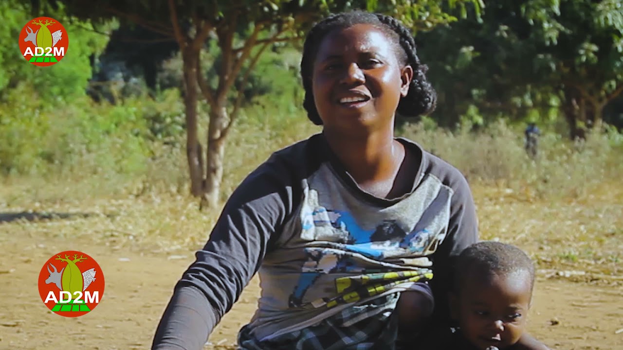 Reportage Caprin à Antanambao, Commune Rurale Ankiliabo, District de Manja Région Menabe