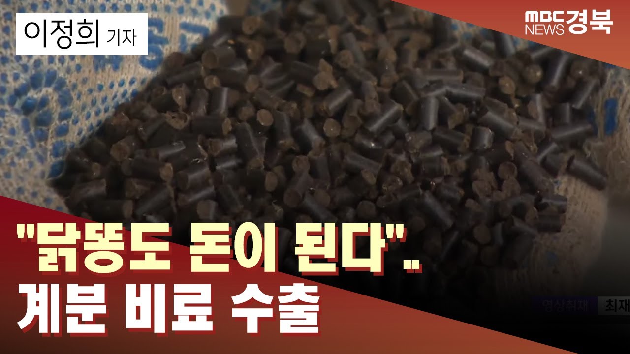 R]"닭똥도 돈이 된다"..봉화 전국 최대 양계단지 계분 비료로 수출 / 안동MBC