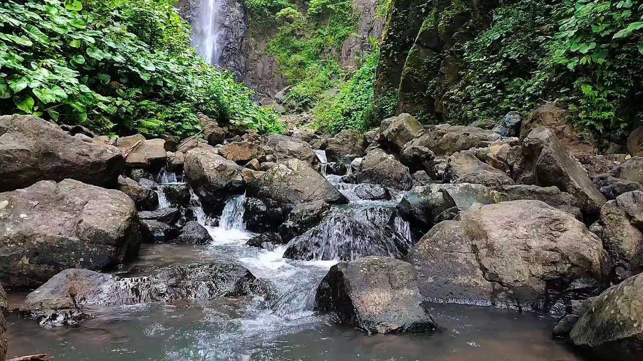 11 Hours Deep Sleep Live: Relaxing Water Flow & Forest Sounds | Nature Ambience for Meditation