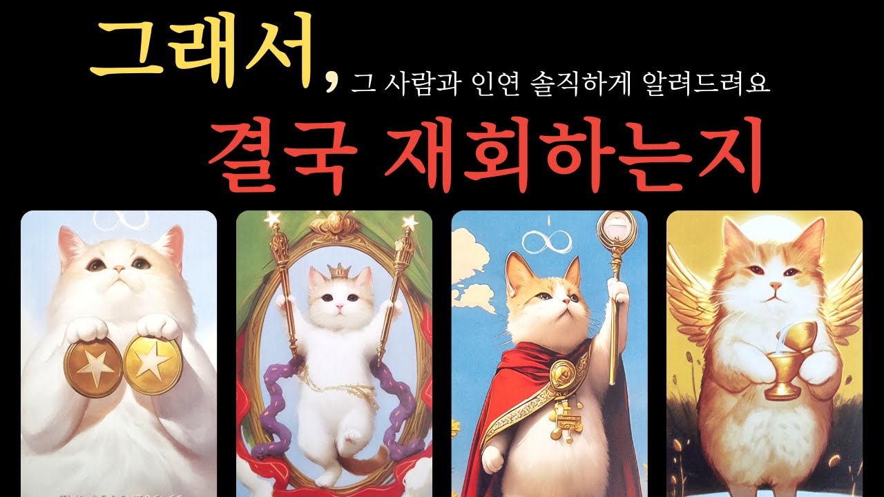 [타로] 연락없는 그 사람 속마음❗그래서, 결국 재회하는지❗ 두분의 인연 솔직하게 알려드려요💫