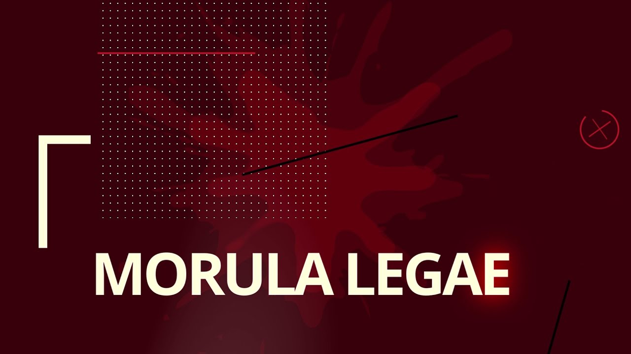 Morula Legae