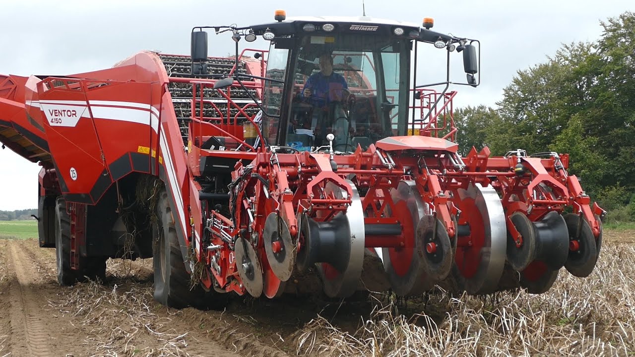 Grimme Ventor 4150 out in the field taking up Potatoes | Big Potato Farming | Danish Agriculture