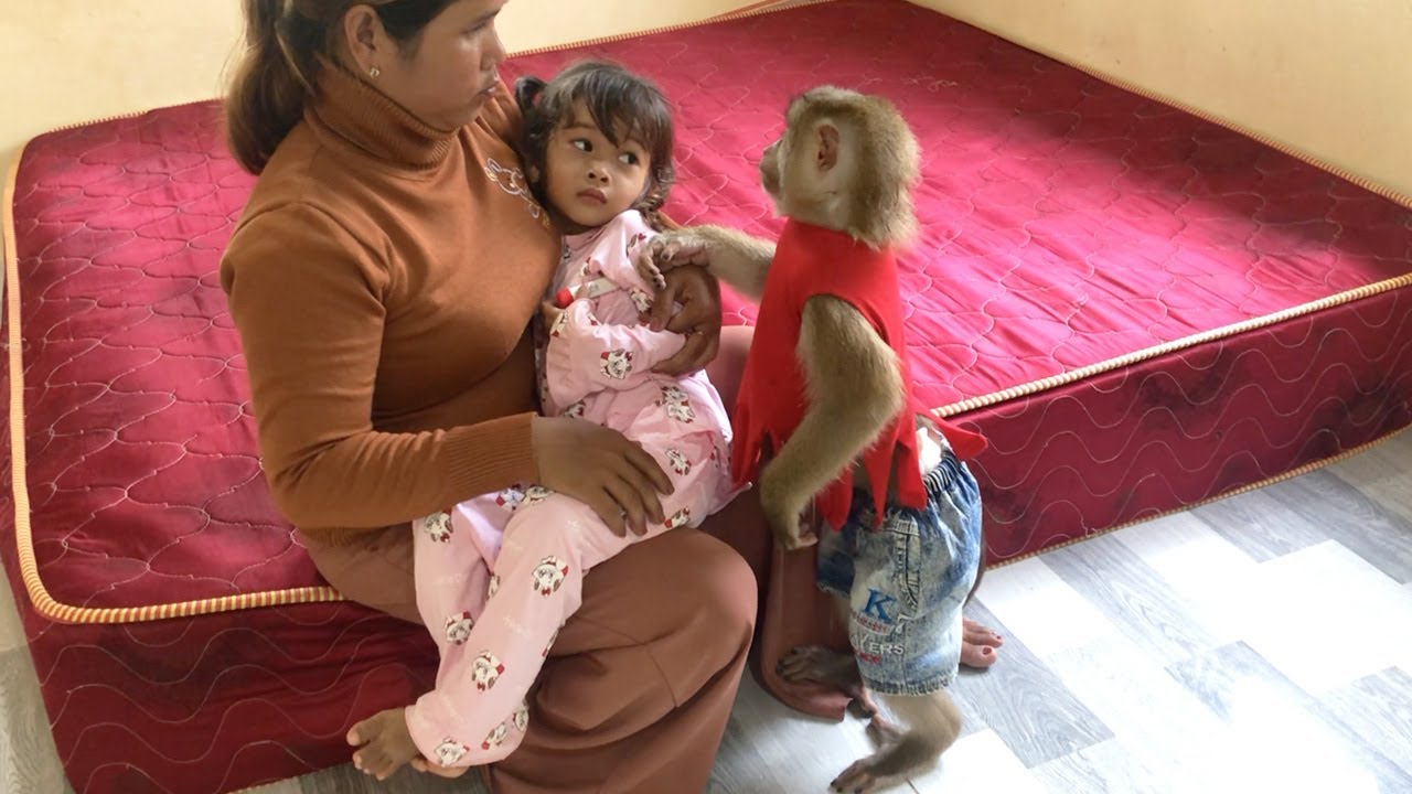 Clever Jason Try To Comfort Sorry When Satya Upset