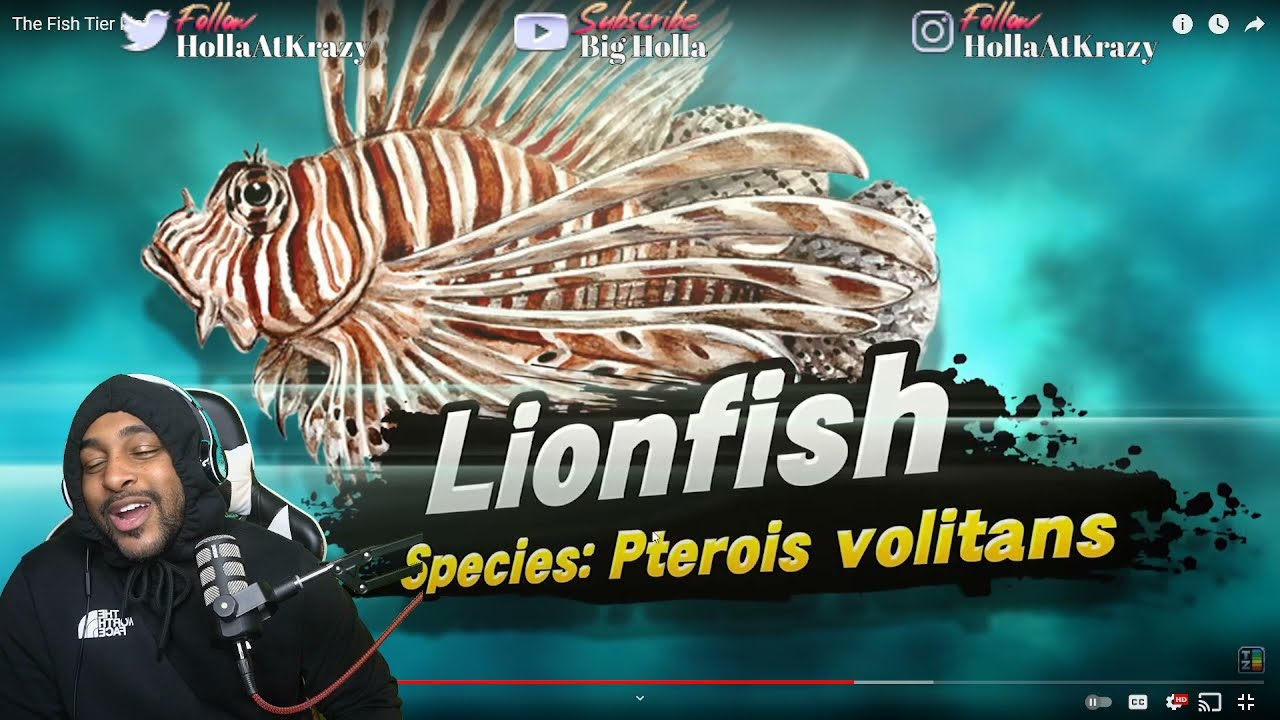 THESE FISH ARE TACTICAL | The Fish Tier List ( TierZoo )