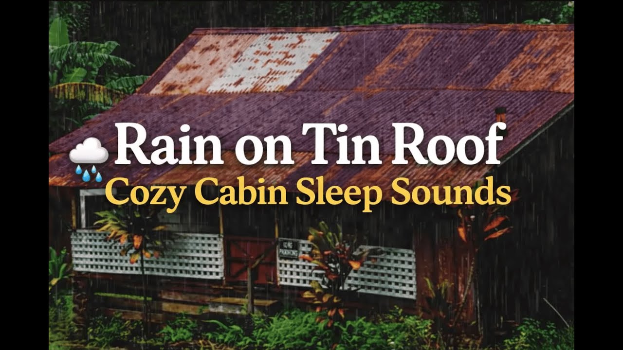 Heavy Rain on Tin Roof Cabin 🌧️ Cozy Sleep & Relaxation Sounds | 3 Hours