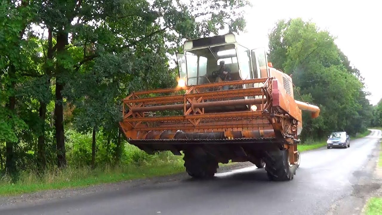 Miodowy Bizon Super Z056 w oryginale