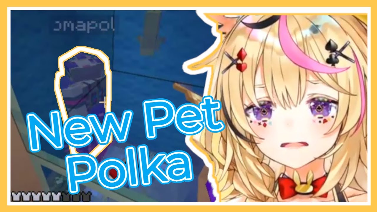 Polka Becomes Shiranui Kensetsu's New Pet