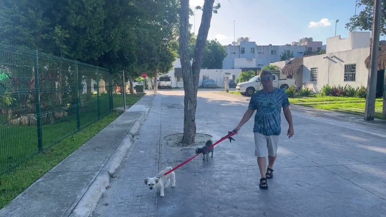 Morning Walk in El Faro, Puerto Morelos