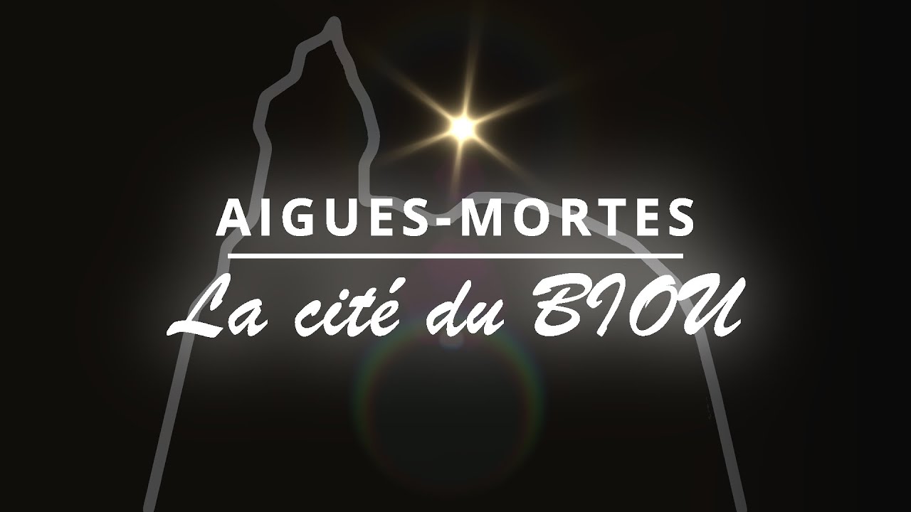 Aigues-Mortes - La cité du Biou